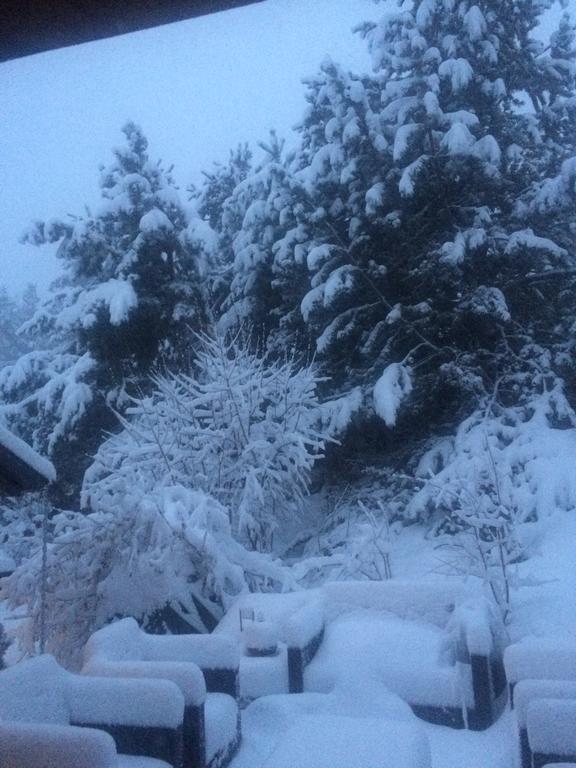 Formiguères Chalet Pomme De Pin 5 Chambres 12 A 14 Personnes מראה חיצוני תמונה