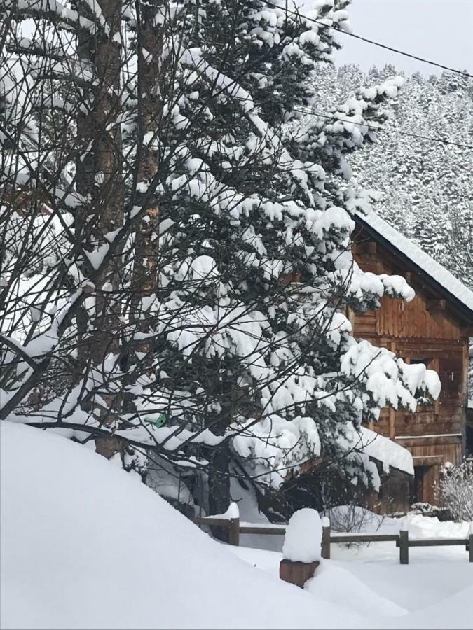 Formiguères Chalet Pomme De Pin 5 Chambres 12 A 14 Personnes מראה חיצוני תמונה